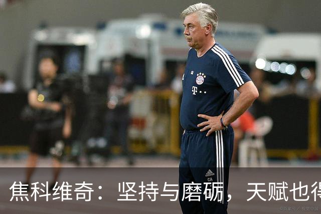 焦科维奇：坚持与磨砺，天赋也得来点苦